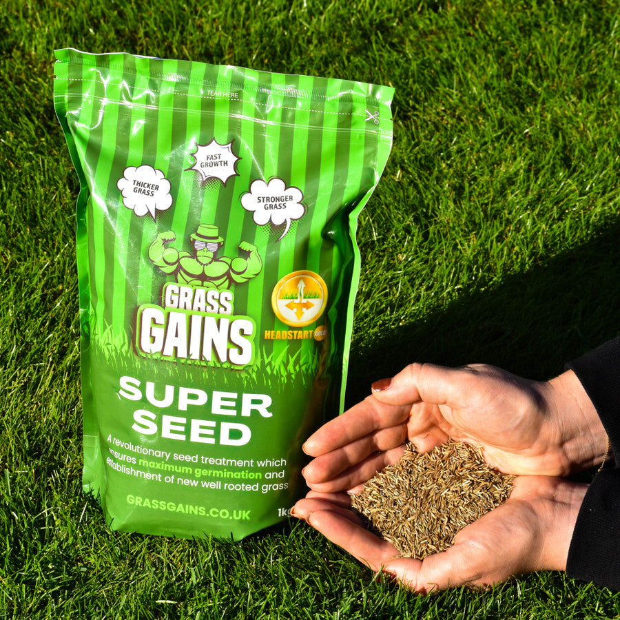 What is the Best Grass Fertiliser?