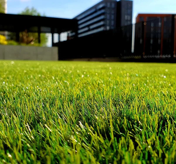 One Shot Wonder (Green Lawn 24 Hours) 1L & Applicator
